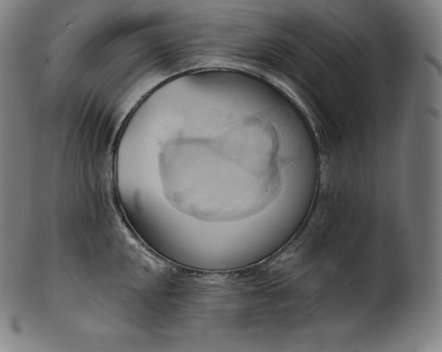 X0000101211048200807111028