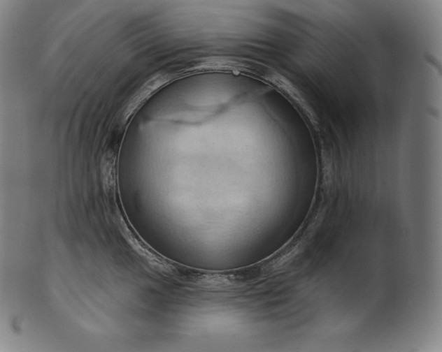 X0000101211049200807111028