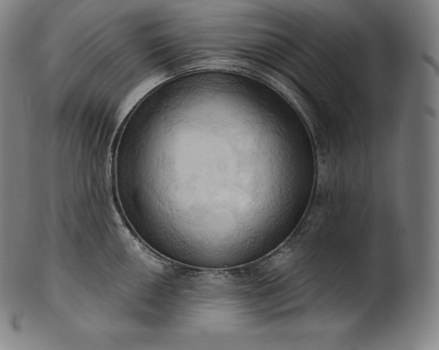 X0000101211050200807111028