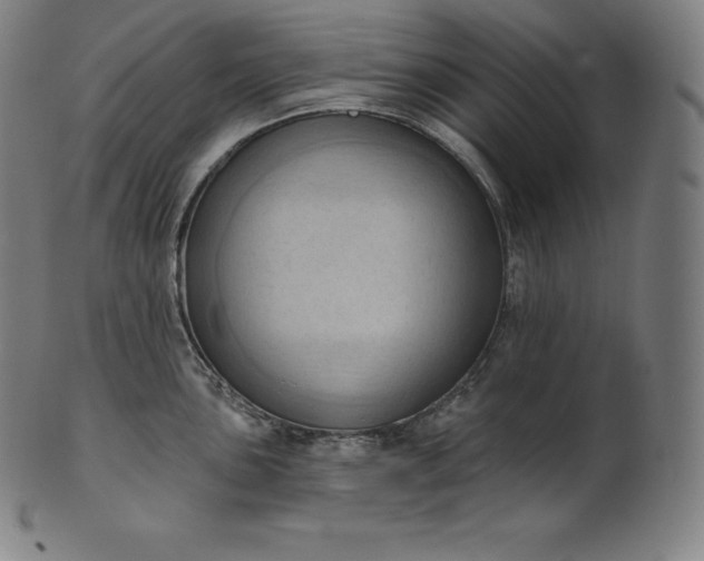 X0000101211051200807111028