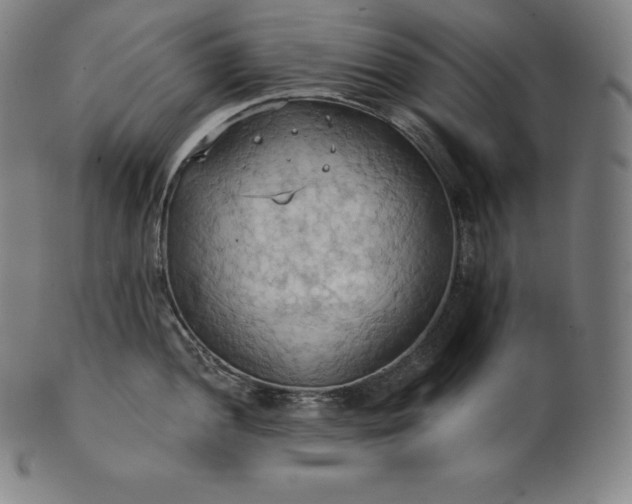 X0000101211052200807111029