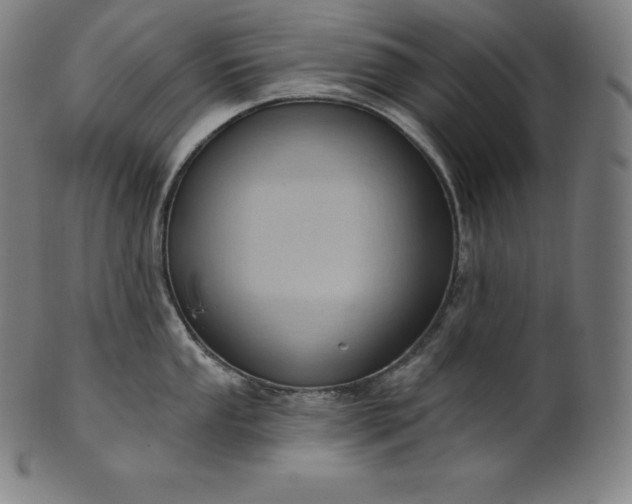 X0000101211053200807111029