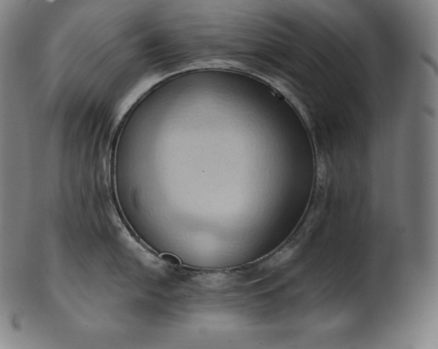 X0000101211054200807111029