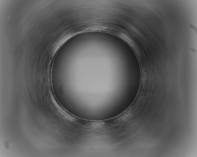 X0000101211055200807111029