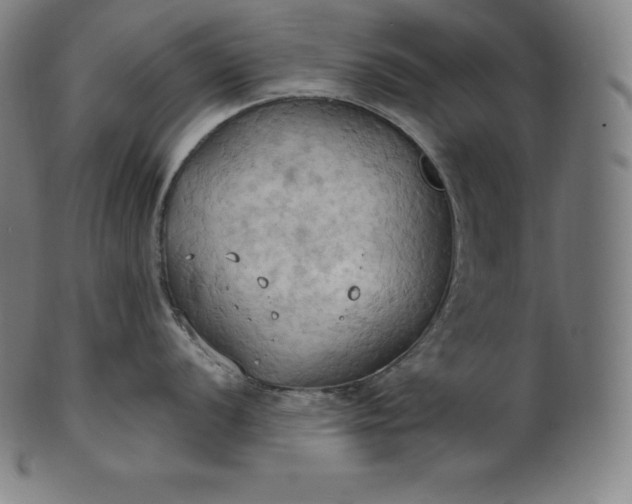 X0000101211056200807111029