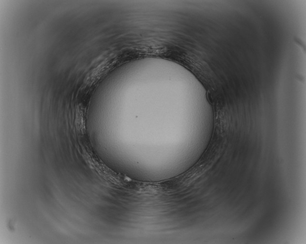 X0000101211058200807111028