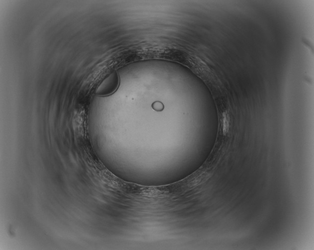 X0000101211059200807111028