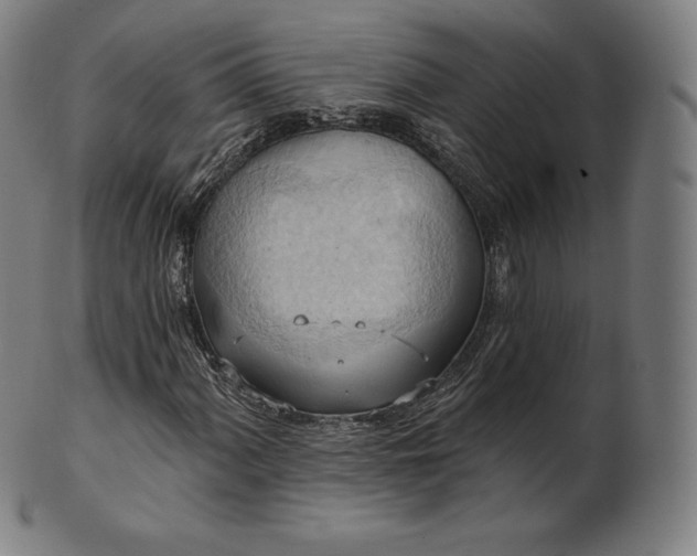 X0000101211060200807111028