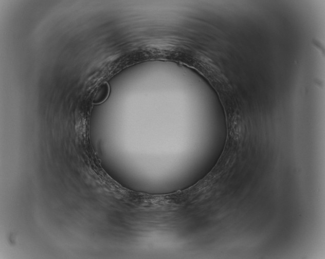 X0000101211061200807111028