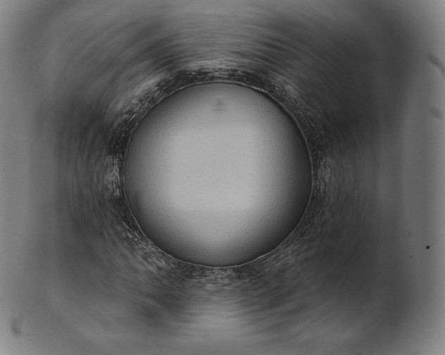 X0000101211062200807111028