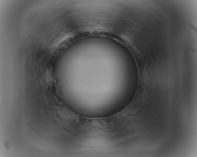 X0000101211063200807111028