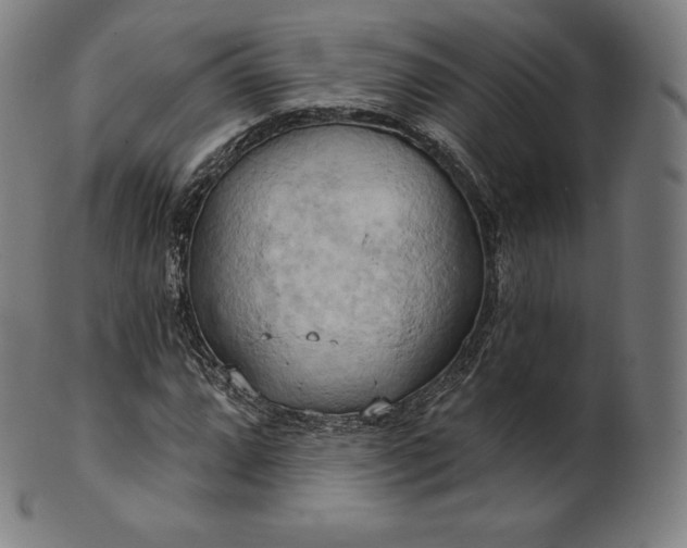 X0000101211064200807111028