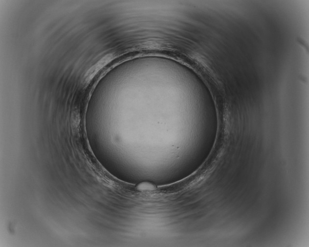 X0000101211065200807111028