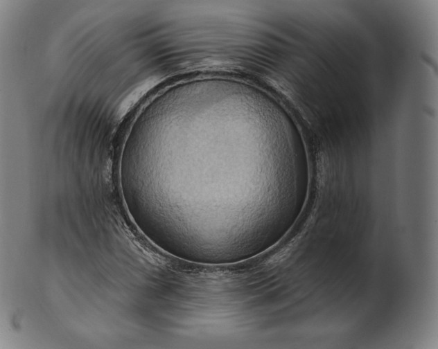 X0000101211066200807111028