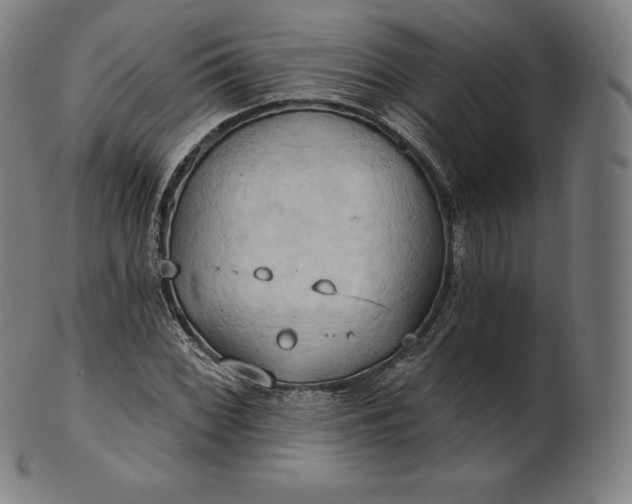 X0000101211068200807111028