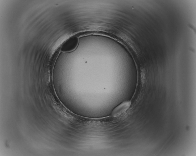 X0000101211069200807111028