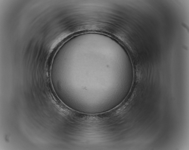 X0000101211070200807111027