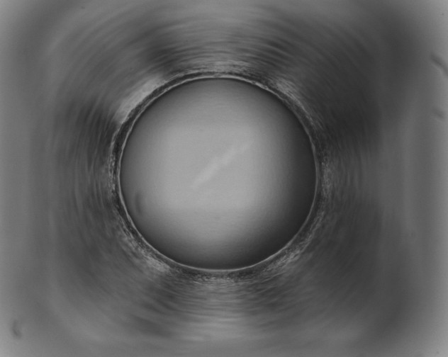 X0000101211071200807111027