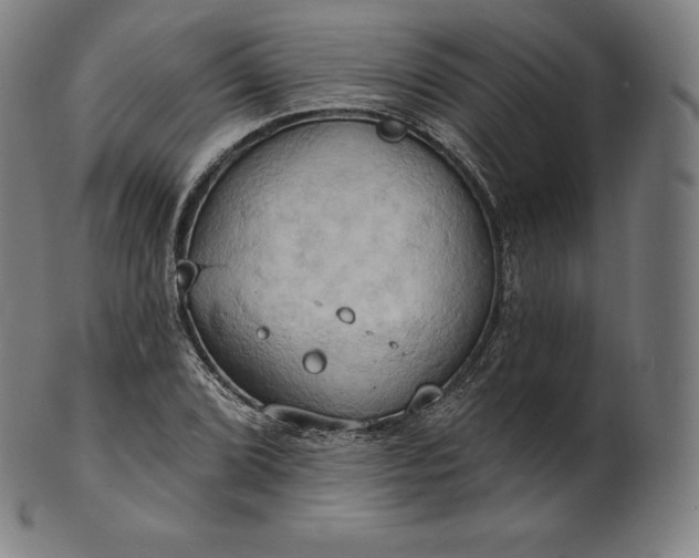 X0000101211072200807111027