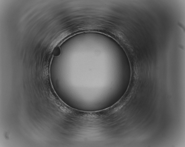 X0000101211073200807111027