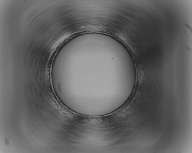 X0000101211074200807111027