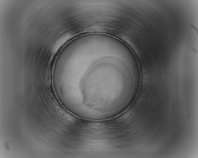 X0000101211075200807111027