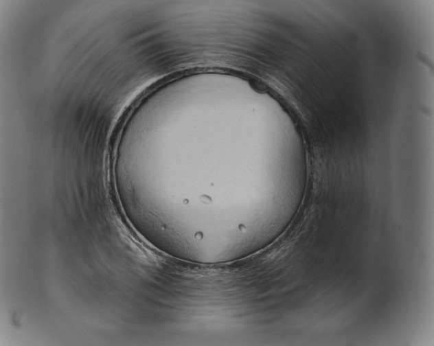 X0000101211076200807111027