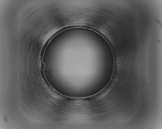 X0000101211077200807111027