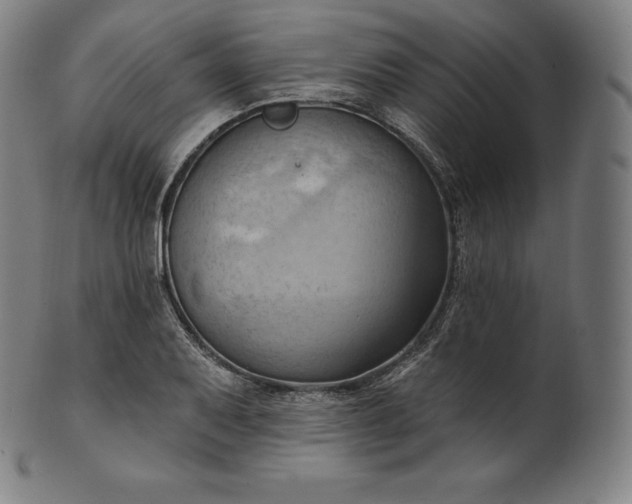 X0000101211079200807111027