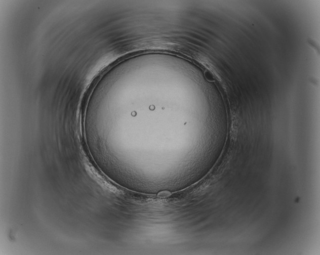 X0000101211080200807111027