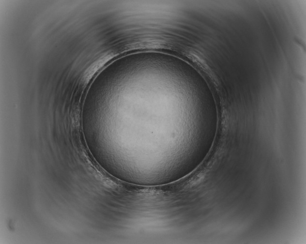 X0000101211081200807111027