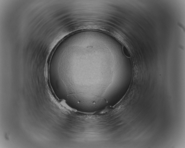 X0000101211084200807111027