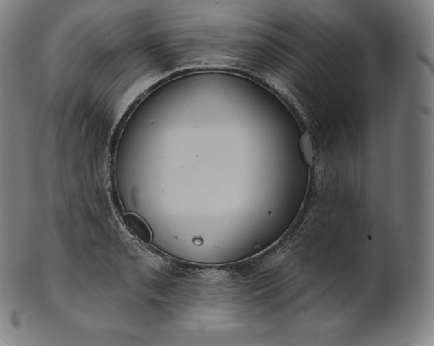 X0000101211085200807111027