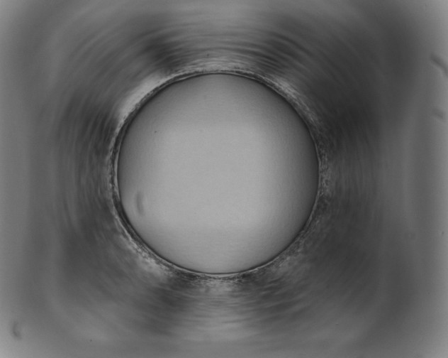 X0000101211086200807111027