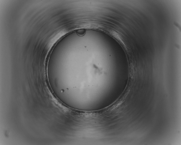 X0000101211087200807111027