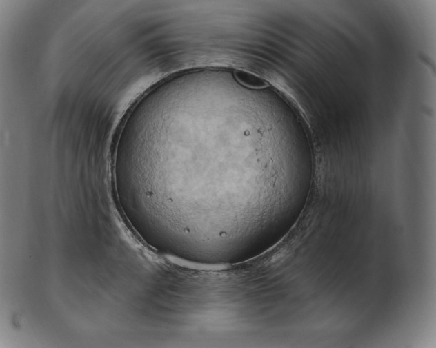 X0000101211088200807111027