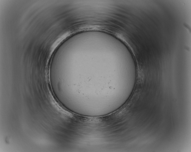 X0000101211090200807111027