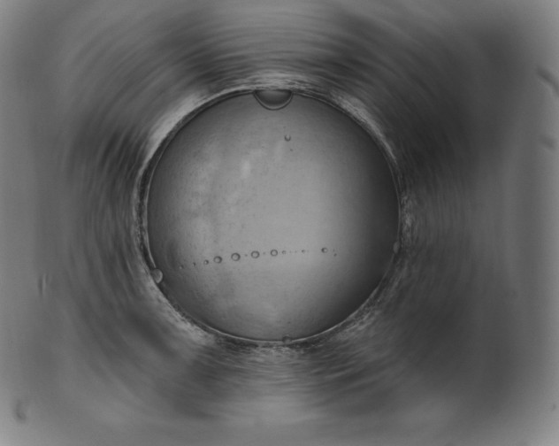 X0000101211091200807111027