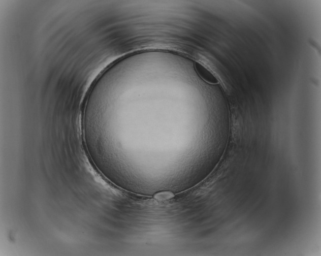 X0000101211092200807111027