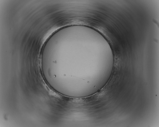 X0000101211094200807111027