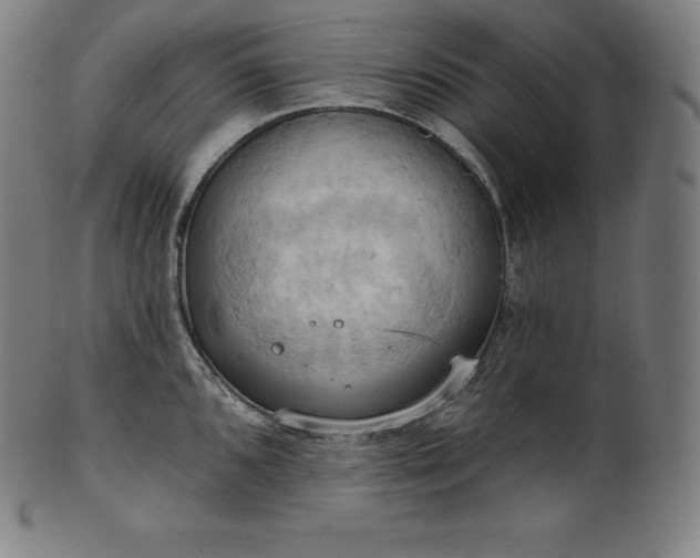 X0000101211096200807111027