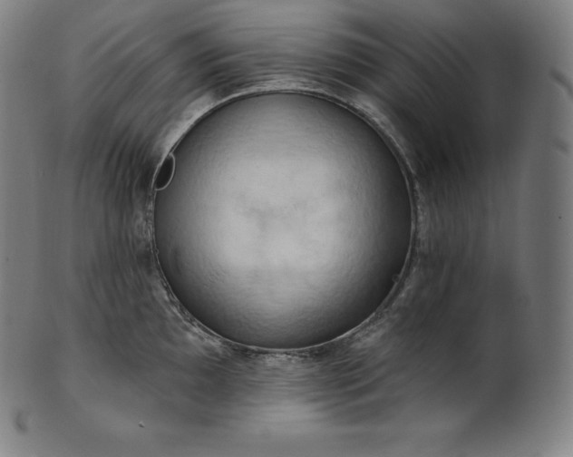 X0000101211097200807111027