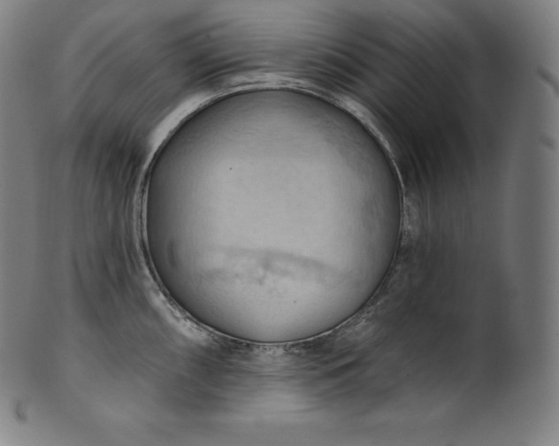 X0000101211098200807111027