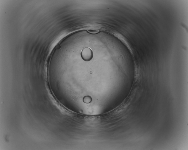 X0000101211099200807111027