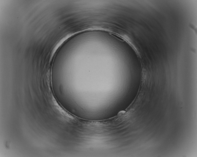 X0000101211100200807111027