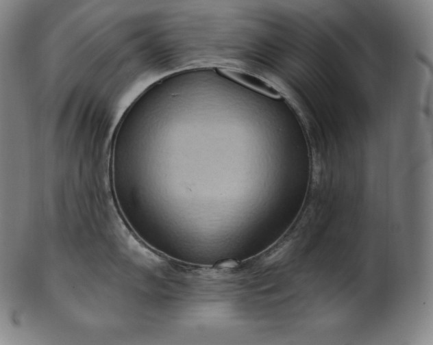 X0000101211102200807111027