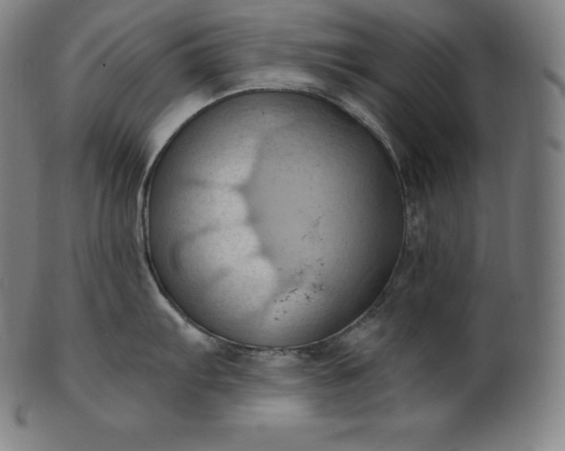 X0000101211103200807111027