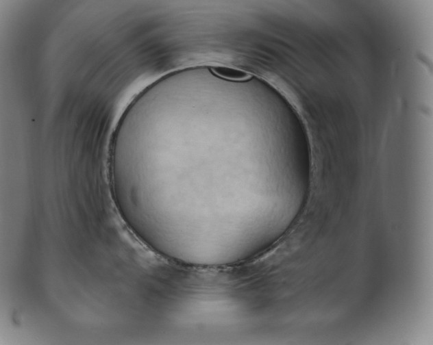 X0000101211104200807111027