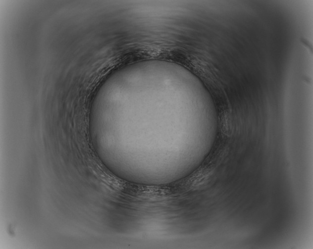 X0000101211105200807111026