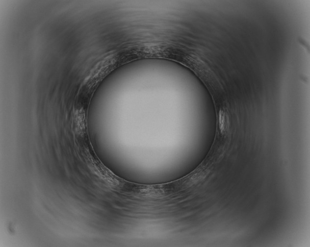 X0000101211107200807111026